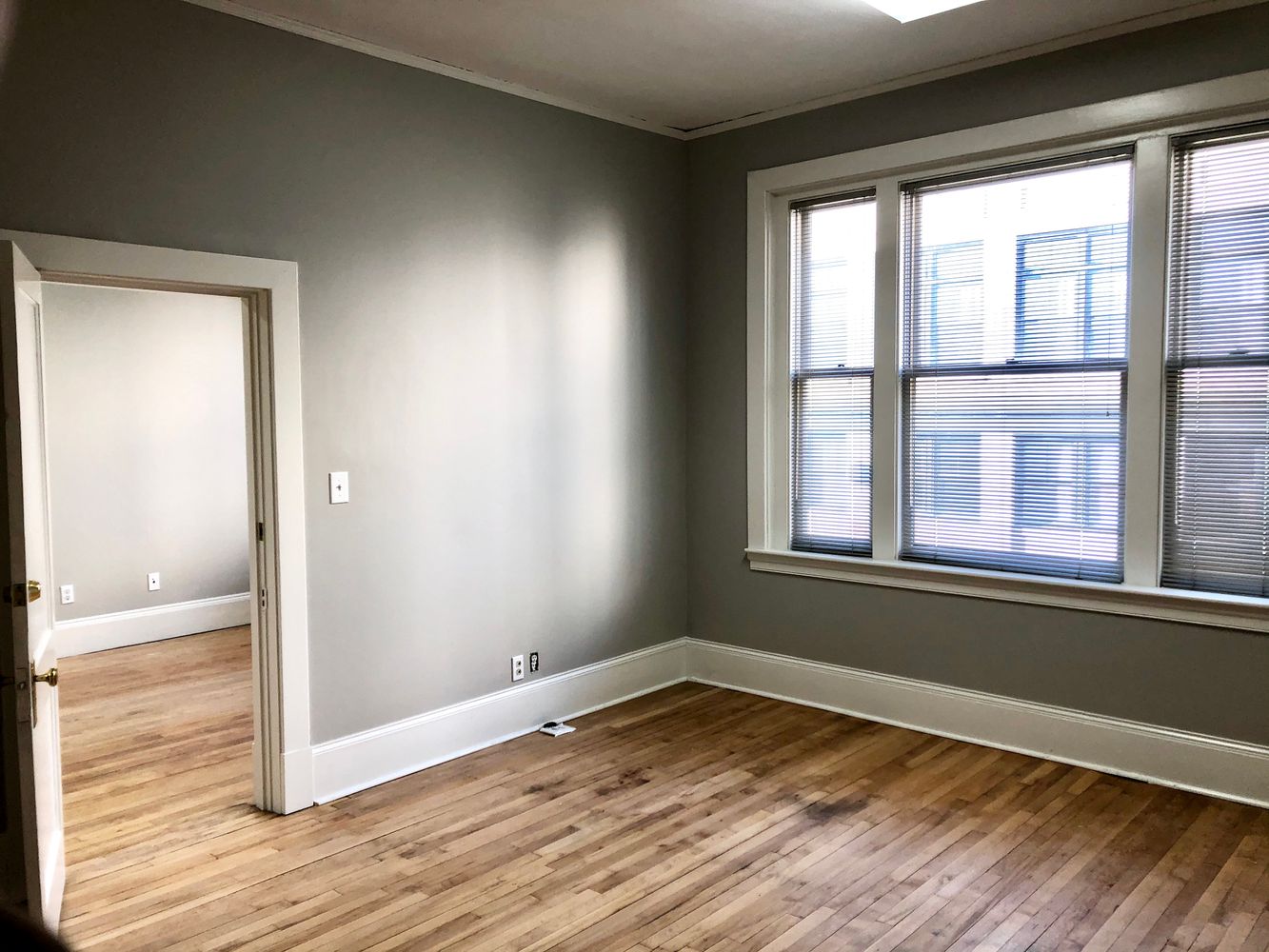 Suite 8
